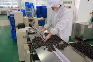 松江崛起食品产业巨擘 年销售额破50亿的“隐形冠军”揭秘